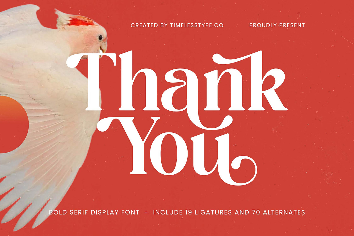 Beyond Wandler Modern Serif Font, a Serif Font by timelesstype.co (Photo 20 of 20)
