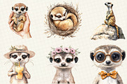 Watercolor Cute Meerkat Clipart, an Illustration by OK Design (Thumbnail 5 of 5)