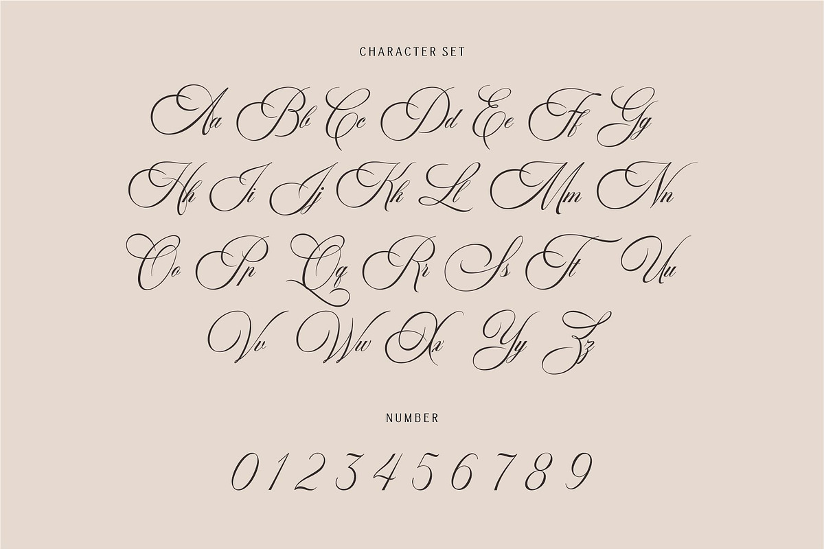 Golden Harmony, a Script Font by ManType (Photo 8 of 8)