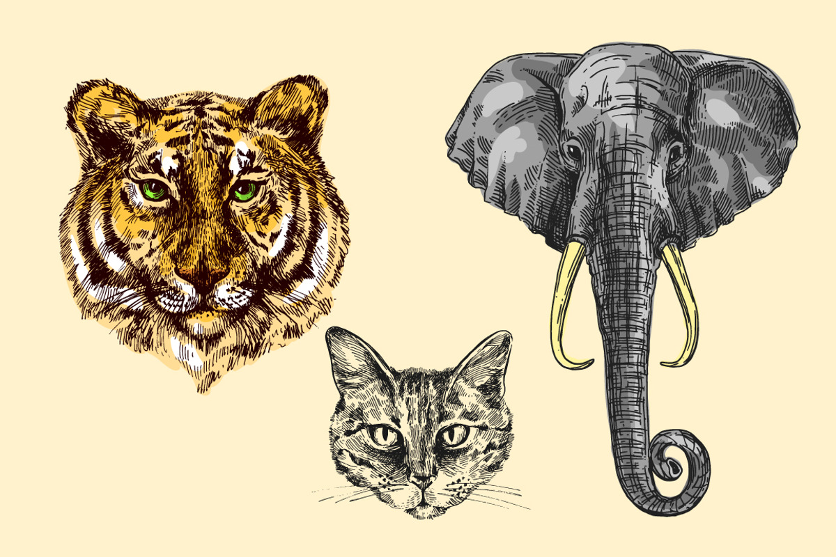 Boho animals 2, an Animal Illustration by Steshnikova (Photo 5 of 6)