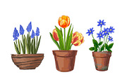 Garden flowers in pots. Vector, an Object Illustration by irina.vaneeva (Thumbnail 7 of 7)