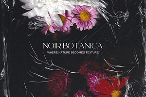 Noir Botanica Scanographs, a Texture Graphic by House of Delfina