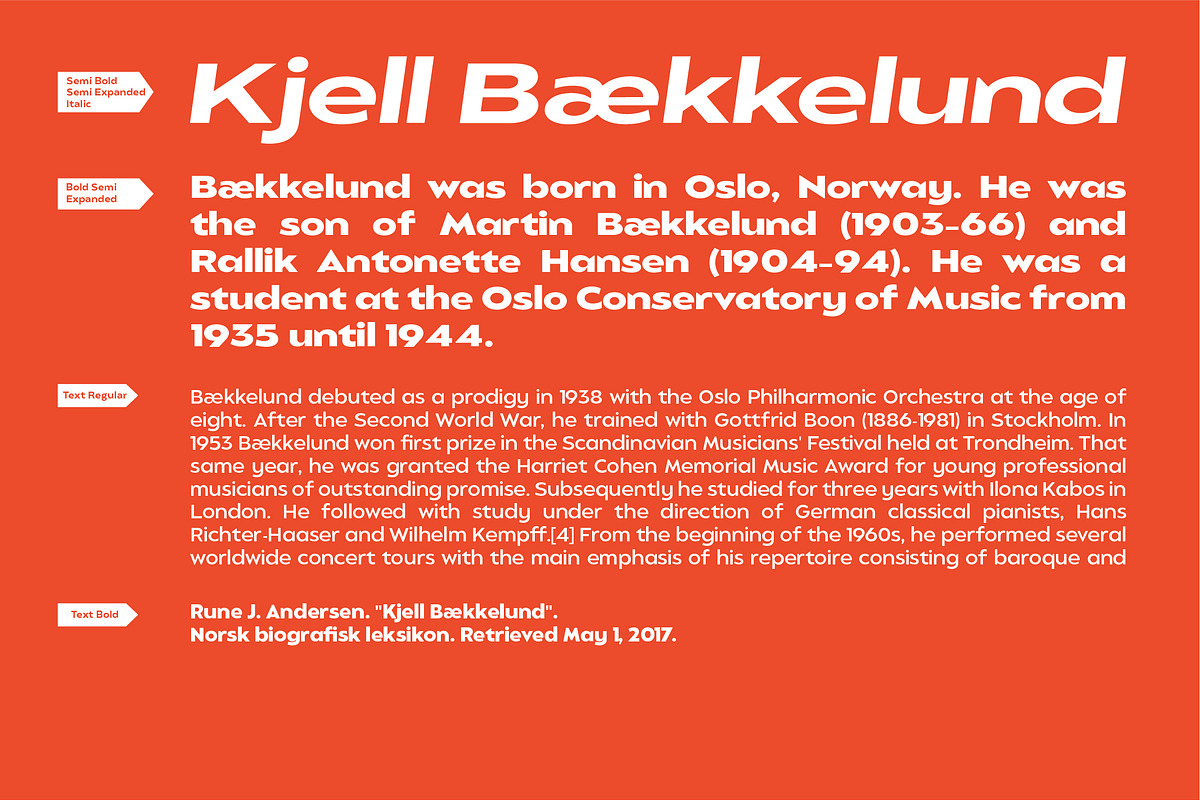 Balgin Font Family, a Sans Serif Font by Sundance Tipografia (Photo 15 of 22)