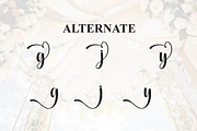 Shiny Wedding | Script Font, a Handwritten Font by Scratchones (Thumbnail 8 of 9)