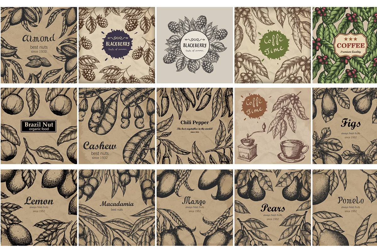 Hand drawn vector plants, a Food Illustration by SHom (Photo 16 of 17)