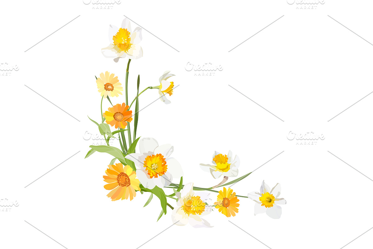Vector object brushes. Daffodils, a Brush Add-On by Peolla (Photo 11 of 11)