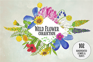 Watercolor Wildflower Collection