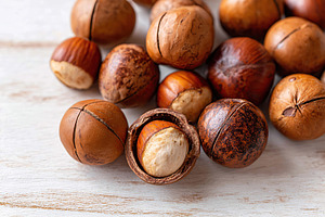 Freshly harvested macadamia nuts ready for culinary use or snacking, a Food & Drink Photo by AlyaAnd