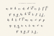 Ranzene - Elegant Script Font, a Script Font by Randi Irvan | Rvandtype (Thumbnail 11 of 14)