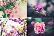Mixed Photoshop Actions Bundle, an Action Add-On by Viktor Gjokaj (Thumbnail 10 of 21)