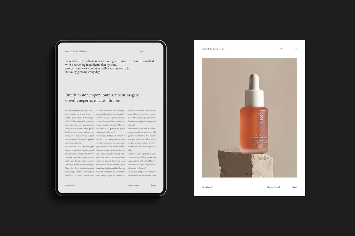 Digital E-Book Design Template, a Magazine Template by Olion Lora (Photo 6 of 16)