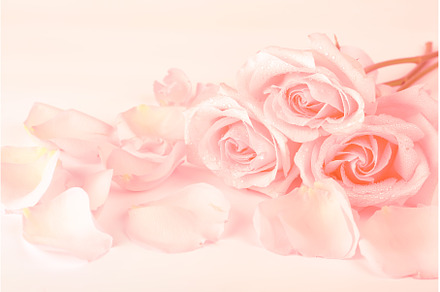 gently pink roses on a coral, a Nature Photo by sabyna75