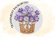 Watercolor Crocuses Clipart Bundle., an Illustration by SVGArt (Thumbnail 9 of 9)
