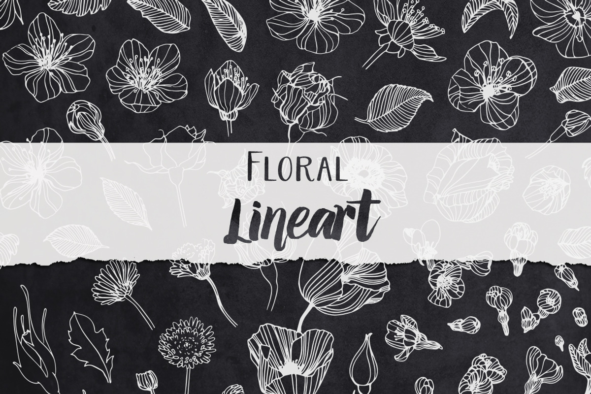 Floral Lineart, an Illustration by Petite Salade (Photo 1 of 2)