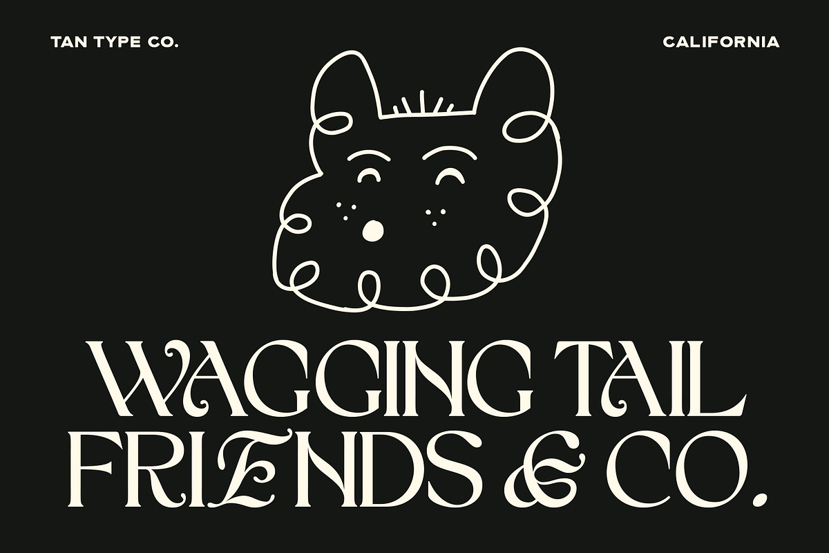 TAN - CALIFORNIA, a Serif Font by TanType (Photo 10 of 16)