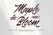 Canlord - Brush Font, a Script Font by Novitype (Thumbnail 8 of 11)