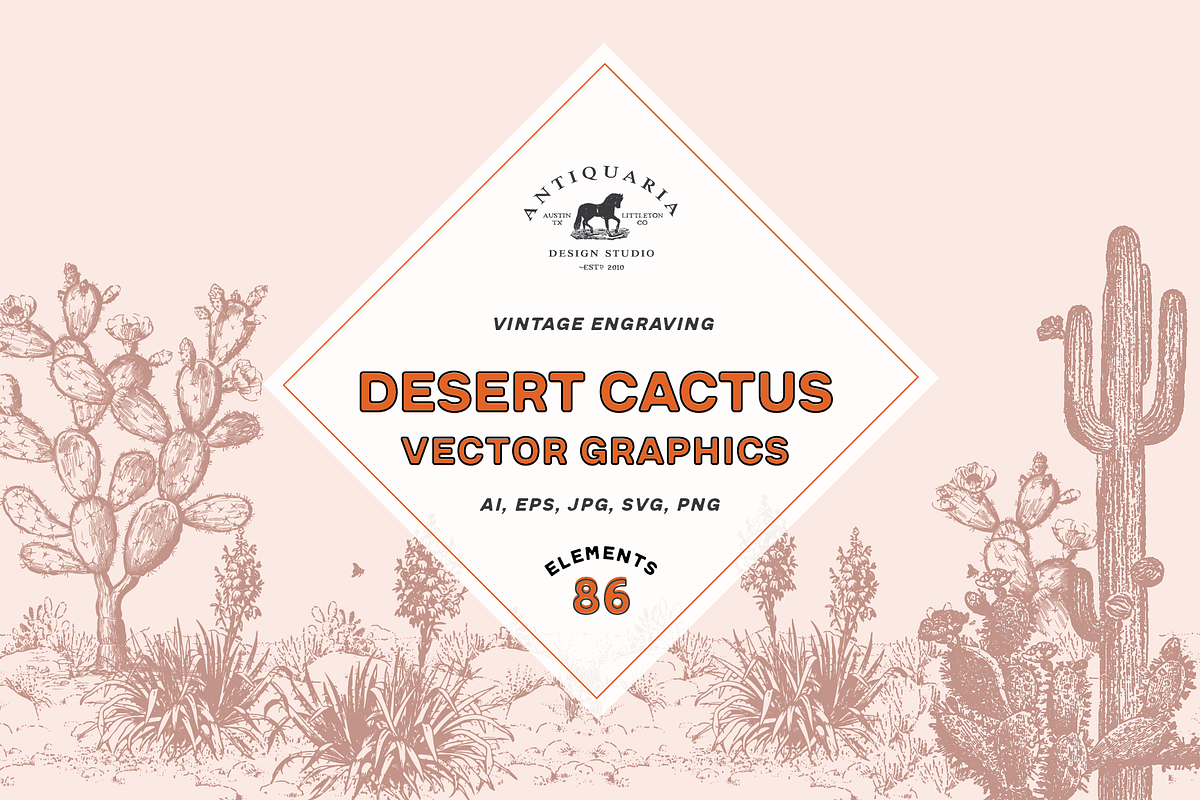 Vintage Cactus Vector Graphics, a Graphic by Antiquaria (Photo 1 of 7)