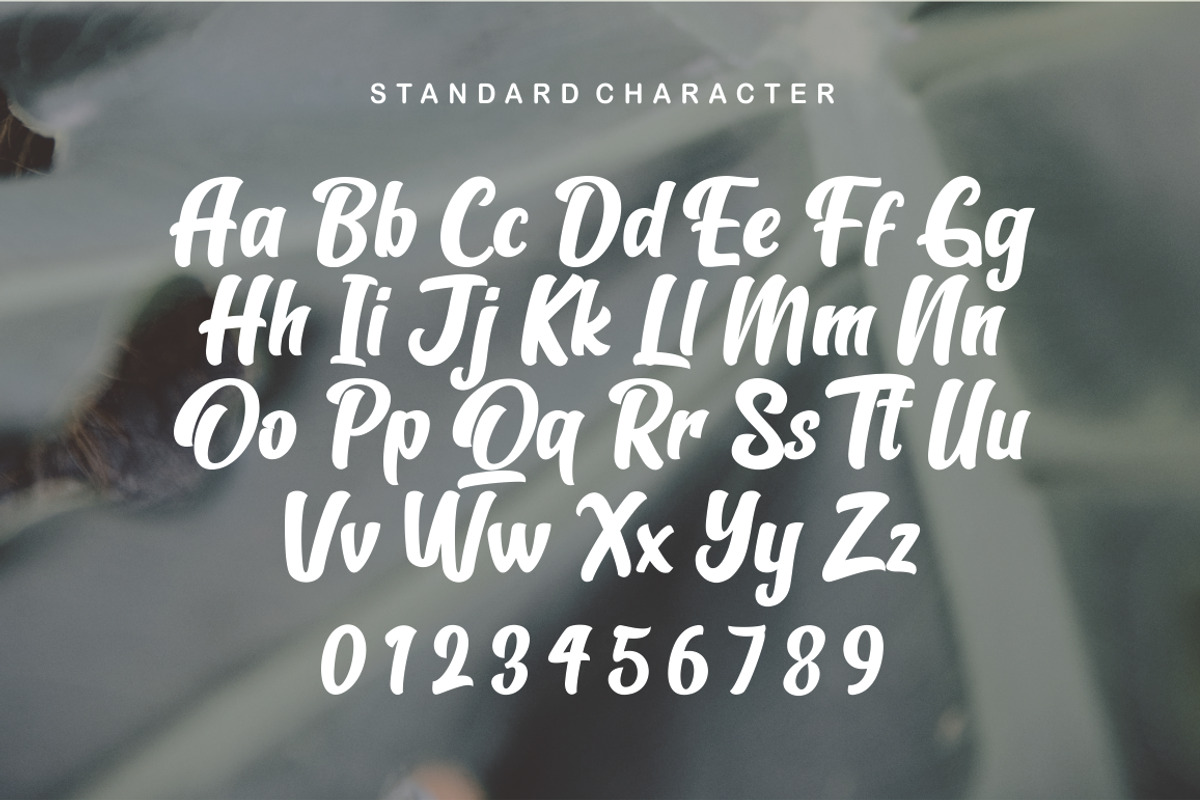 Oh darling, a Sans Serif Font by And Studio (Photo 3 of 12)