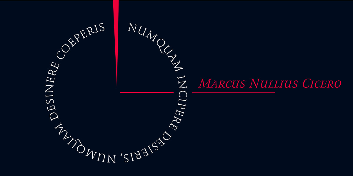 Romis, a Serif Font by Finaltype (Photo 21 of 22)