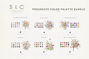 17 Procreate Color Palette - BUNDLE, a Palette Add-On by slowlivecreate (Thumbnail 7 of 7)