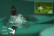 Nature Photoshop Actions preview 2