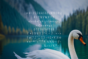 White Swan - Thin Font