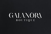 Type Prodigy - serif logo font, a Serif Font by VP Fonts (Thumbnail 4 of 24)