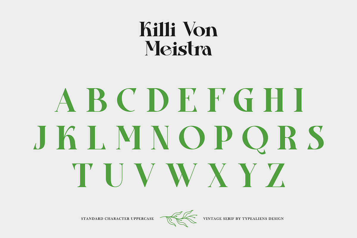 Killi Von Meistra, a Serif Font by ilhamtaro (Photo 6 of 11)