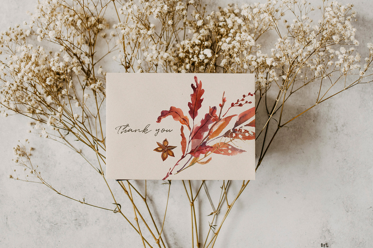 Spicy Fall herbs & berries, a Decorative Illustration by Volha Studio (Photo 9 of 9)