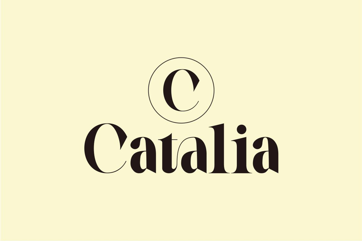 Galery - Elegant Modern Typeface, a Serif Font by suhadidesign (Photo 11 of 15)
