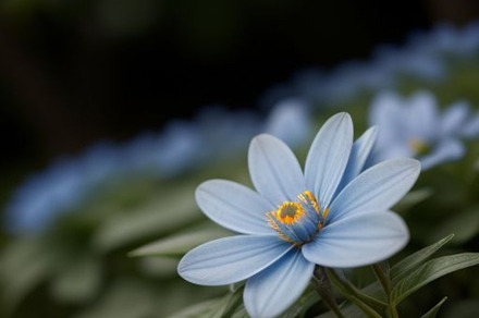 Blue flowers still life photograph, a Nature Photo by ComfortQ