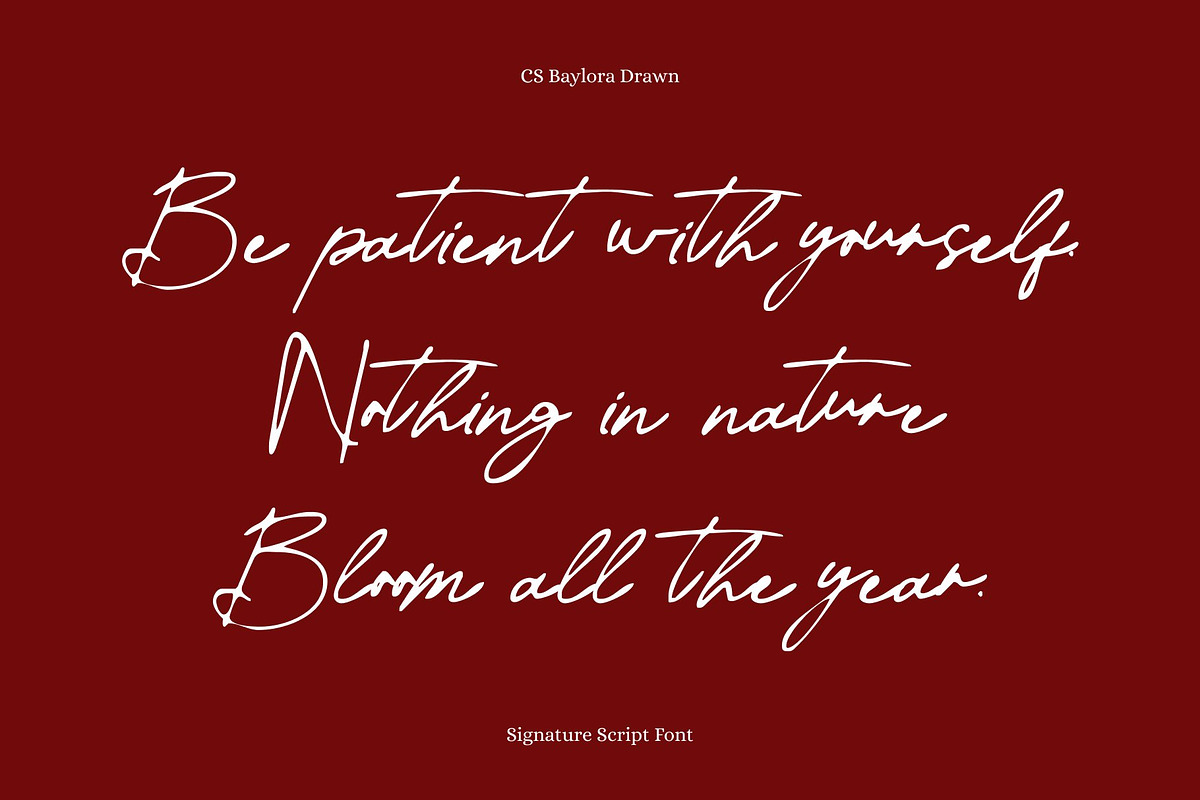 CS Baylora Drawn, a Script Font by Craft Supply Co. (Photo 2 of 8)
