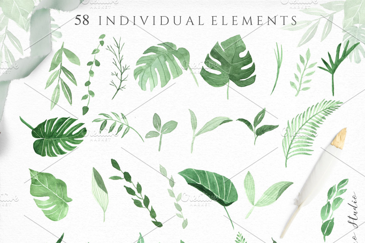 Botanica Watercolor Greenery Leaves, a Decorative Illustration by Momo Studio (Photo 16 of 16)
