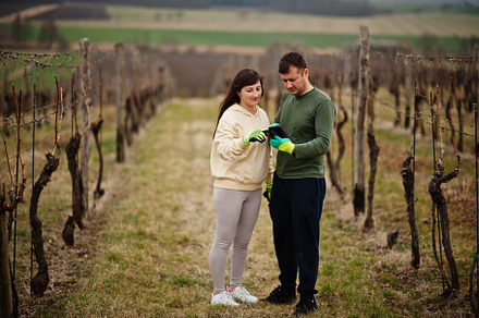 Couple working on vineyard in early spring., a Person Photo by AS photostudio
