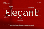 TBJ Sienna Elegant Serif Font Family, a Serif Font by Taboja Studio (Thumbnail 4 of 15)