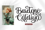Antira Letter, a Script Font by Gatype (Thumbnail 2 of 11)