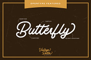 Vintage Rotter, a Script Font by Vintage Division (Thumbnail 7 of 10)