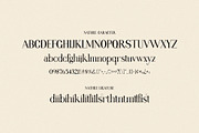 Nathile Ligature Serif Typeface, a Serif Font by Humaira_std (Thumbnail 8 of 10)