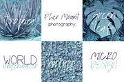 Paolo Nola Font, a Script Font by SophieSaxo (Thumbnail 2 of 8)