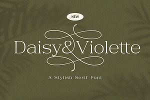 Daisy & Violette - Stylish Serif