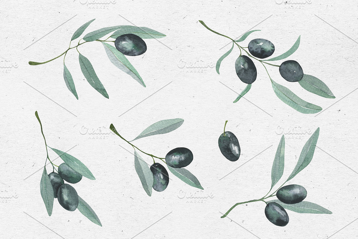 Watercolor Olives, an Illustration by Maria's little shop (Photo 4 of 7)