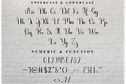 Dandelion, a Handwritten Font by FreshTypeINK (Thumbnail 7 of 8)
