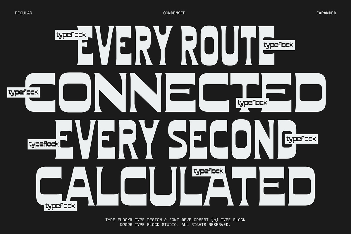 TFC Fragile Font, a Sans Serif Font by Type Flock (Photo 2 of 17)