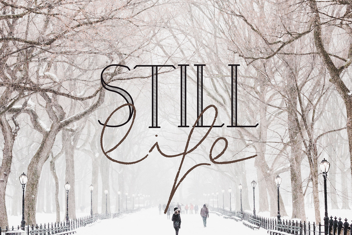 Wintery | Font Family preview 7