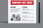 Business Company Fact Sheet Template, a Stationery Template by MightyDesign (Thumbnail 3 of 8)