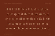 Closed Memory Nostalgic Editorial, a Serif Font by Lettertype Studio (Thumbnail 8 of 16)