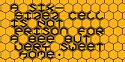 BakerHalf, a Font by Ingrimayne Type (Thumbnail 3 of 5)