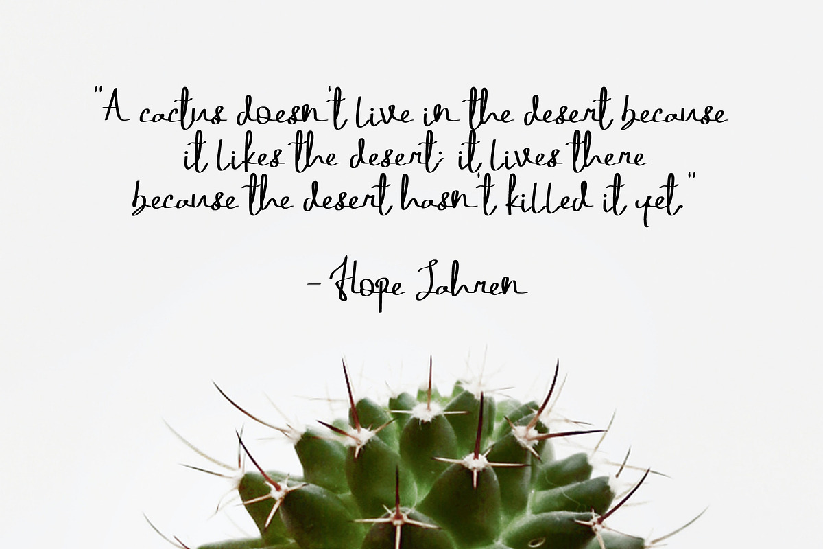 Nocturn, a Script Font by iyhulmonsta (Photo 4 of 6)