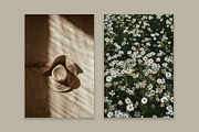 Lifestyle Essentials 3, a Beauty & Fashion Photo by Floral Deco (Thumbnail 7 of 7)
