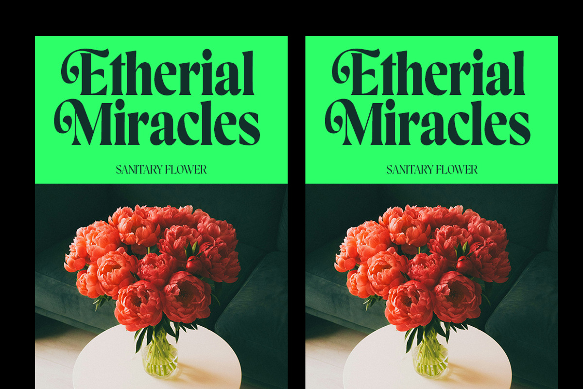 Blacklady Font Family, a Serif Font by Mulkan Nazir (Photo 4 of 15)